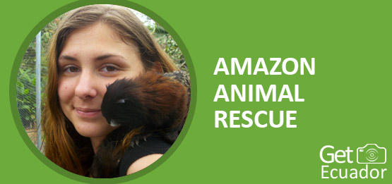AMAZON-ANIMAL-RESCUE-volunteering-programs-page