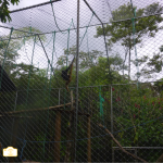 Monkey cage Animals Rescue Center Ecuador